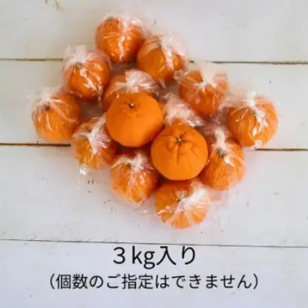 【2027年2月～4月順次発送】お好みの味に育てて楽しむ不知火　3kg　産地直送　和歌山県産【1750294】