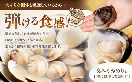 日の出 桑名産 天然はまぐり 鍋セット （ 出汁付 ） 約3人前 蛤 ハマグリ はまぐり 魚介 貝 魚貝 活はまぐり 海鮮 だし 出汁 ダシ 冷蔵 鍋