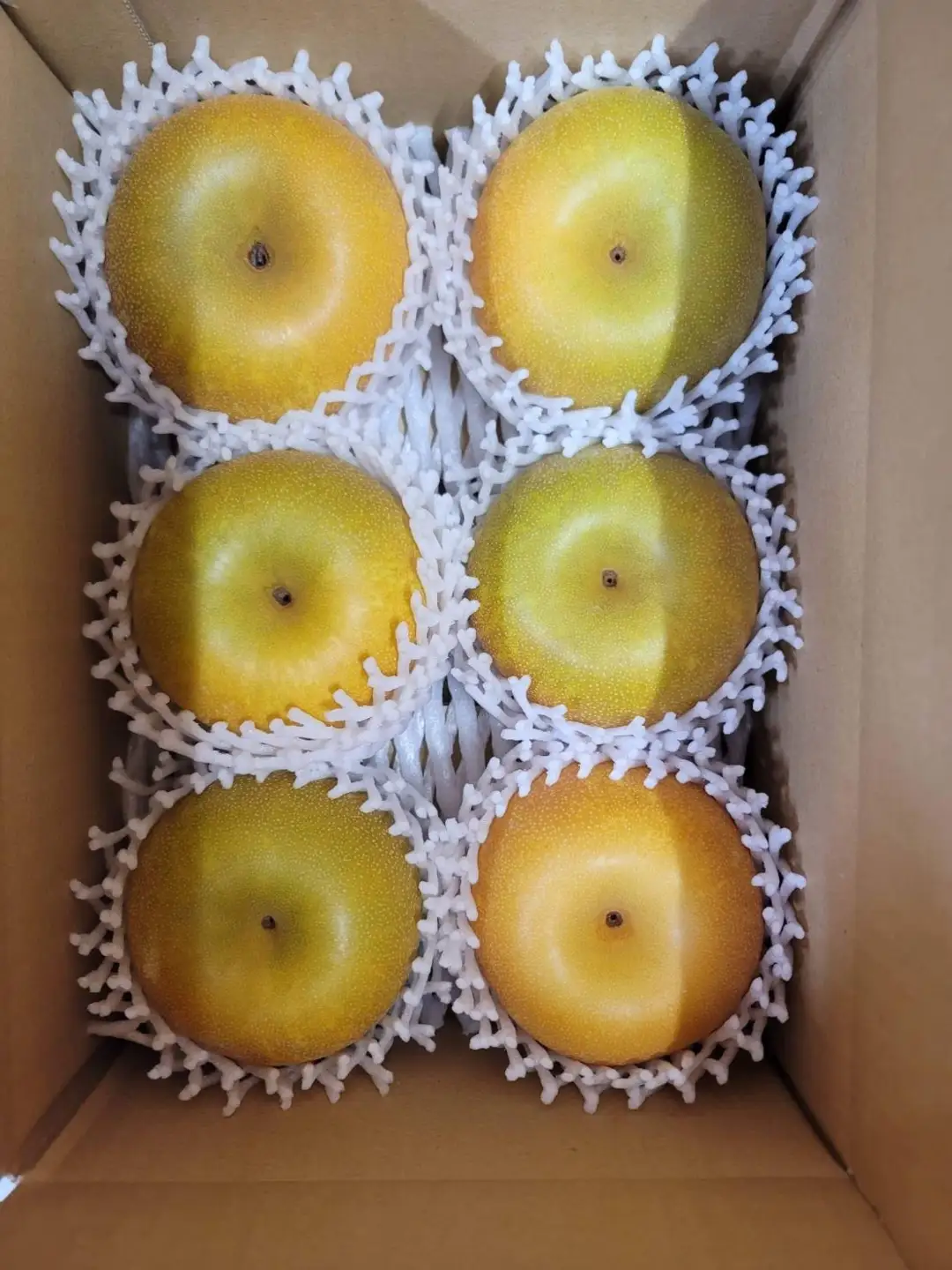 幸水【進物】2.5kg（岸田秀果園） 鳥取 梨 なし ナシ 果物 フルーツ 和梨 幸水梨 こうすいなし 人気 産地直送