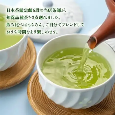 【のし付き・お中元】人気3品種知覧茶飲み比べ 計300gセット【1754498】