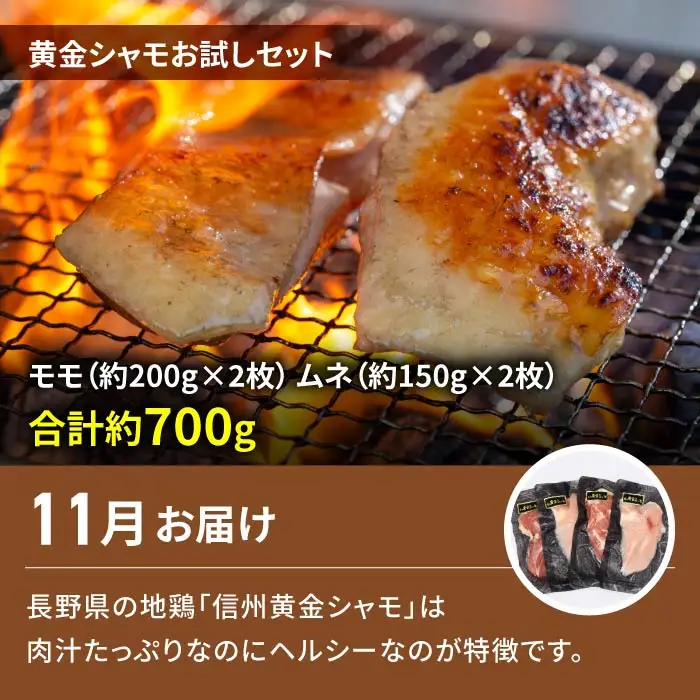 【2回定期便】とうみの名産定期便（シャインマスカット2房／信州黄金シャモ ムネ・モモセット700g）｜【JA信州うえだ／とや原ファーム】ぶどう 葡萄 大粒 果物 フルーツ シャモ 鶏肉 頒布会 長野