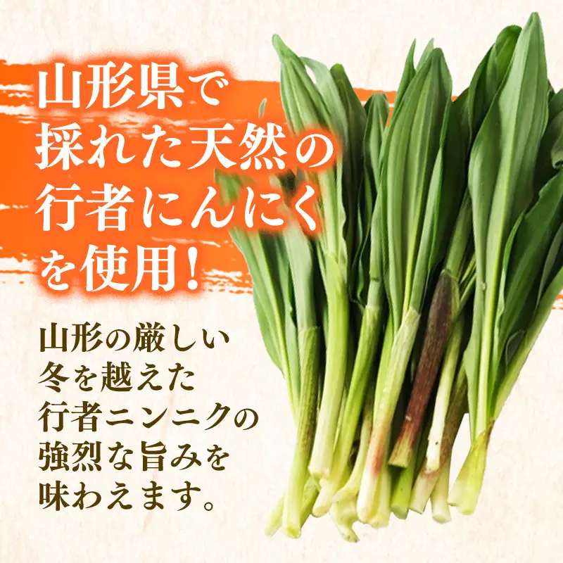 天然行者ニンニク 冷奴に合うだし醬油 180ml 4本 - にんにく醬油 だし醬油 出汁醤油 パウチパック 使いやすい おすすめ 送料無料 山形県 飯豊町