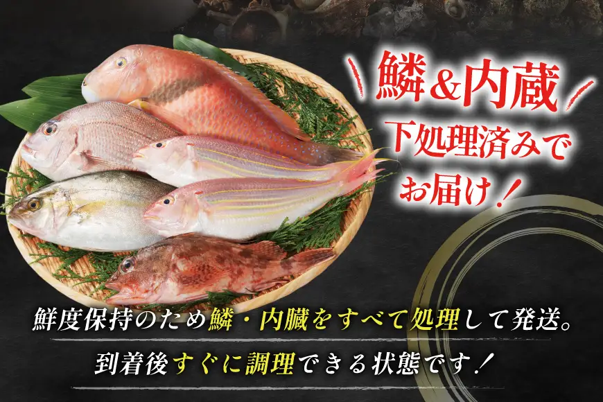 魚 地魚 詰め合わせ 3～5尾