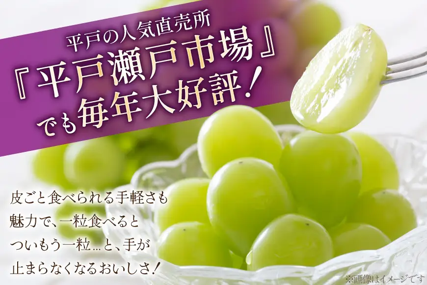 シャインマスカット 大粒 種なし 約800g 2p 計1.6kg
