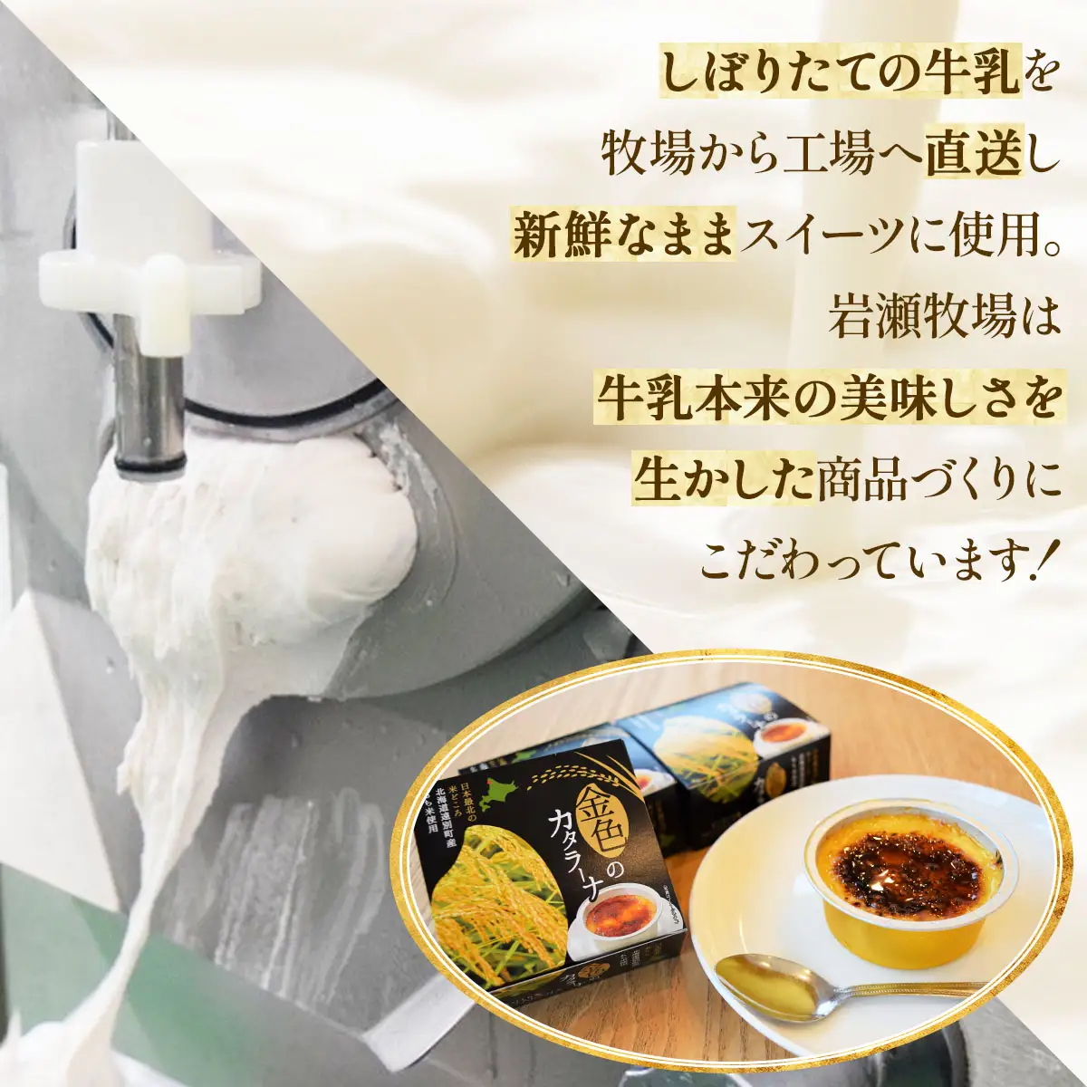 【えんべつもち米スイーツ】金色のカタラーナ（6個入り）