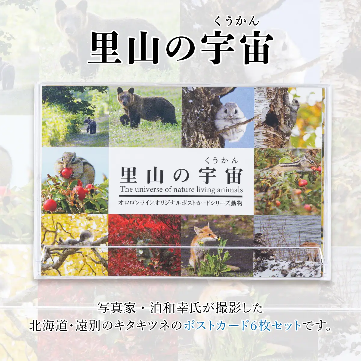 【野生塾　泊和幸】ポストカードセット　里山の宇宙（動物）