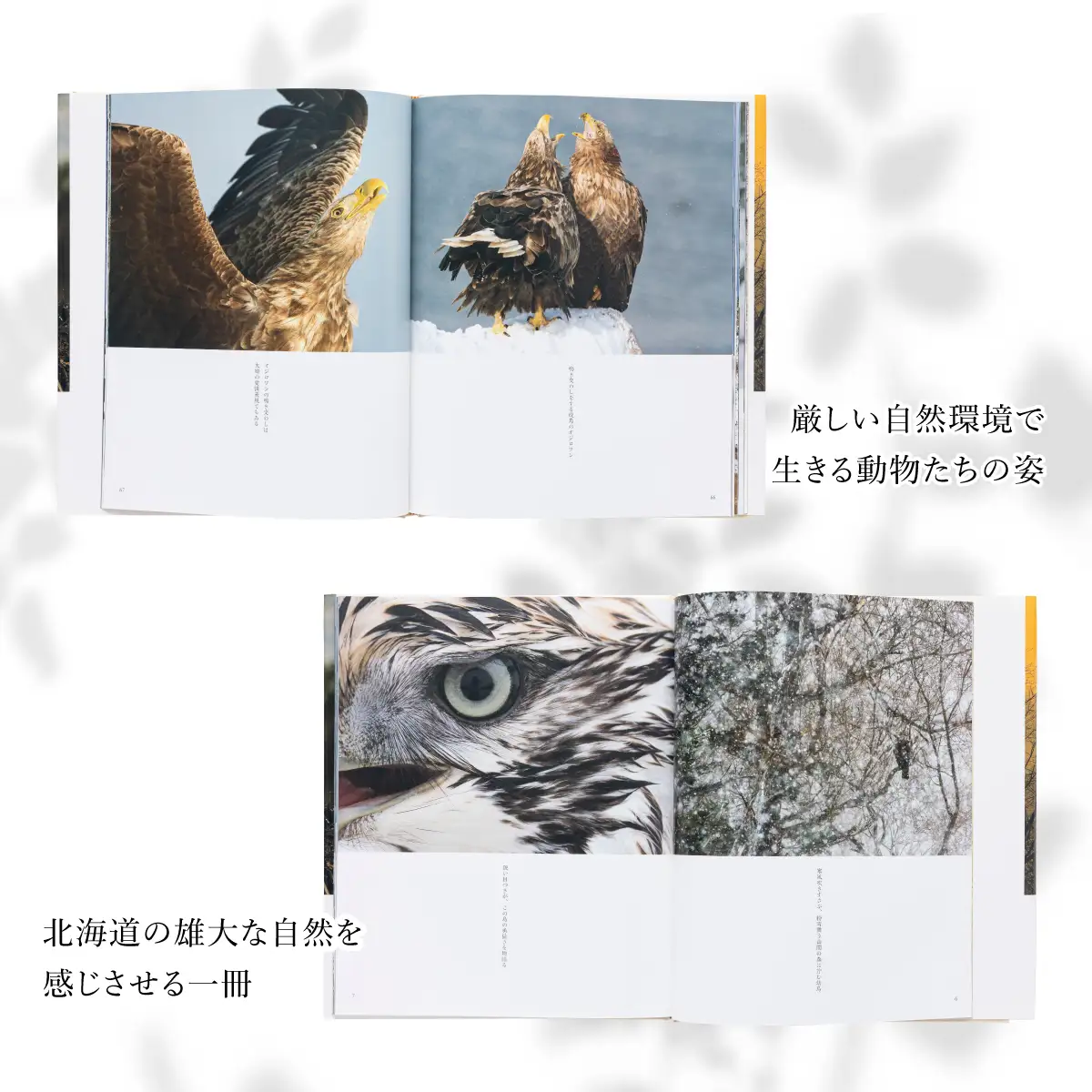 【写真集】里山の宇宙（さとやまのくうかん）【泊和幸　野生塾】