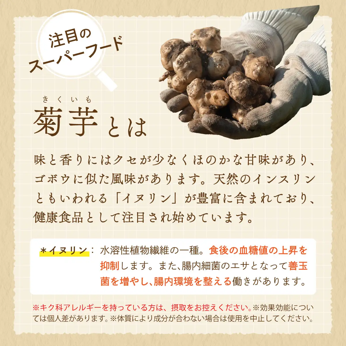 【北海道　遠別町産】菊芋パウダー 100g×５袋　イヌリンが豊富！スーパーフード　健康食品