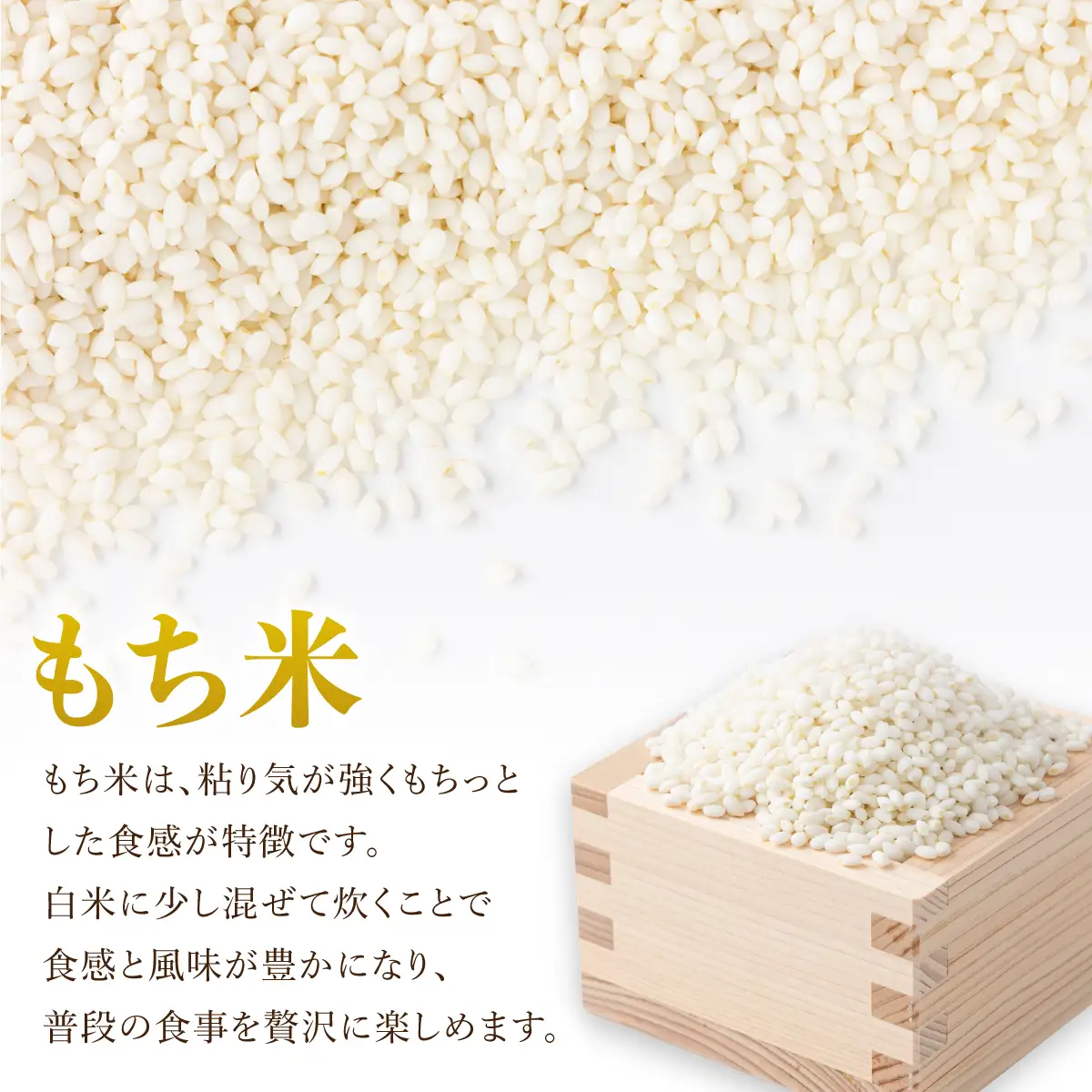 【日本最北のもち米生産地からお届け】風の子もち（もち米）900g＋もち玄米900g　計1.8kgセット【令和７年産新米】