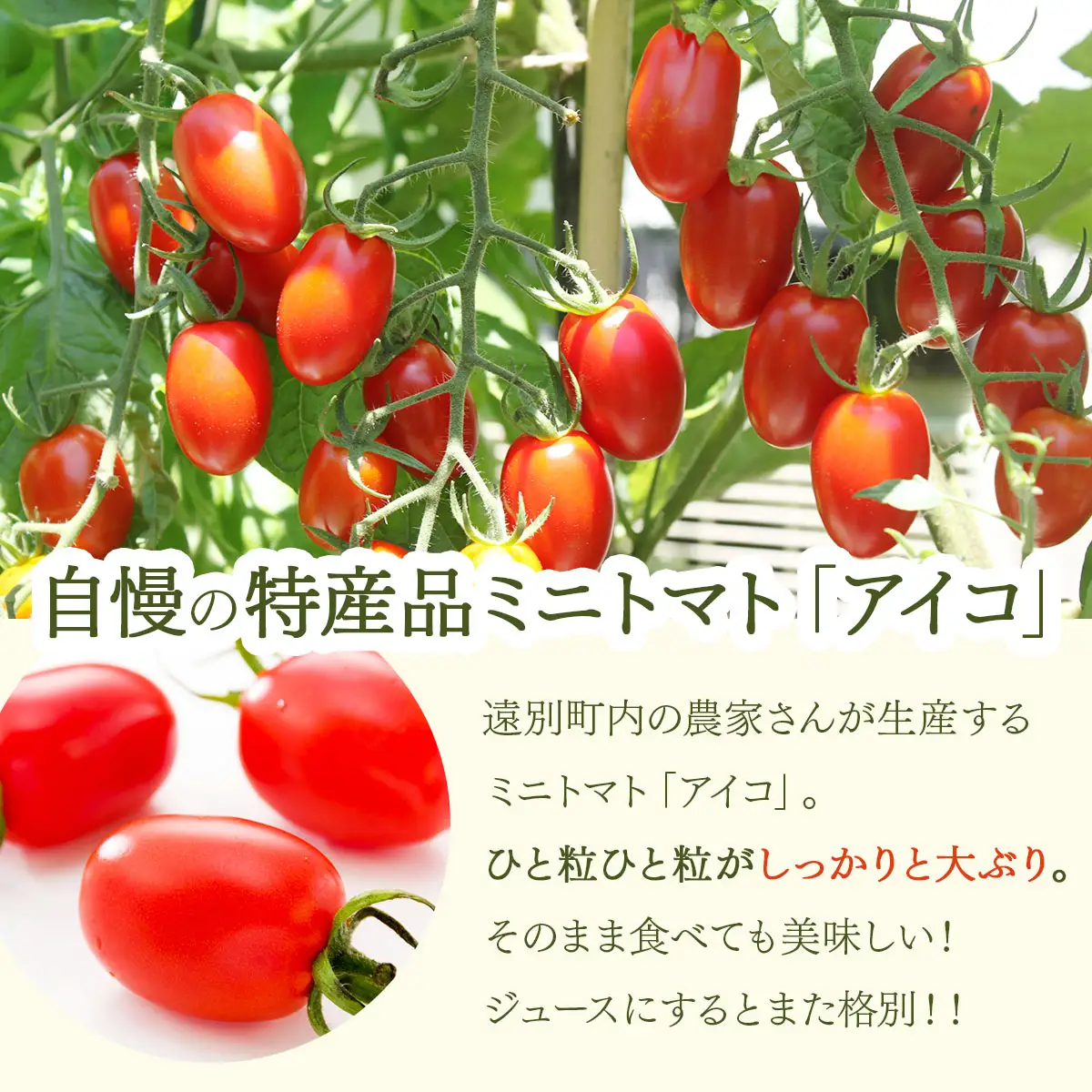 【北海道遠別町産アイコトマト100%使用】北の赤いしずく（1L×2本）　国産ストレートアイコトマト　濃厚　さわやか　甘みたっぷり　野菜ジュース　家庭用　ギフト