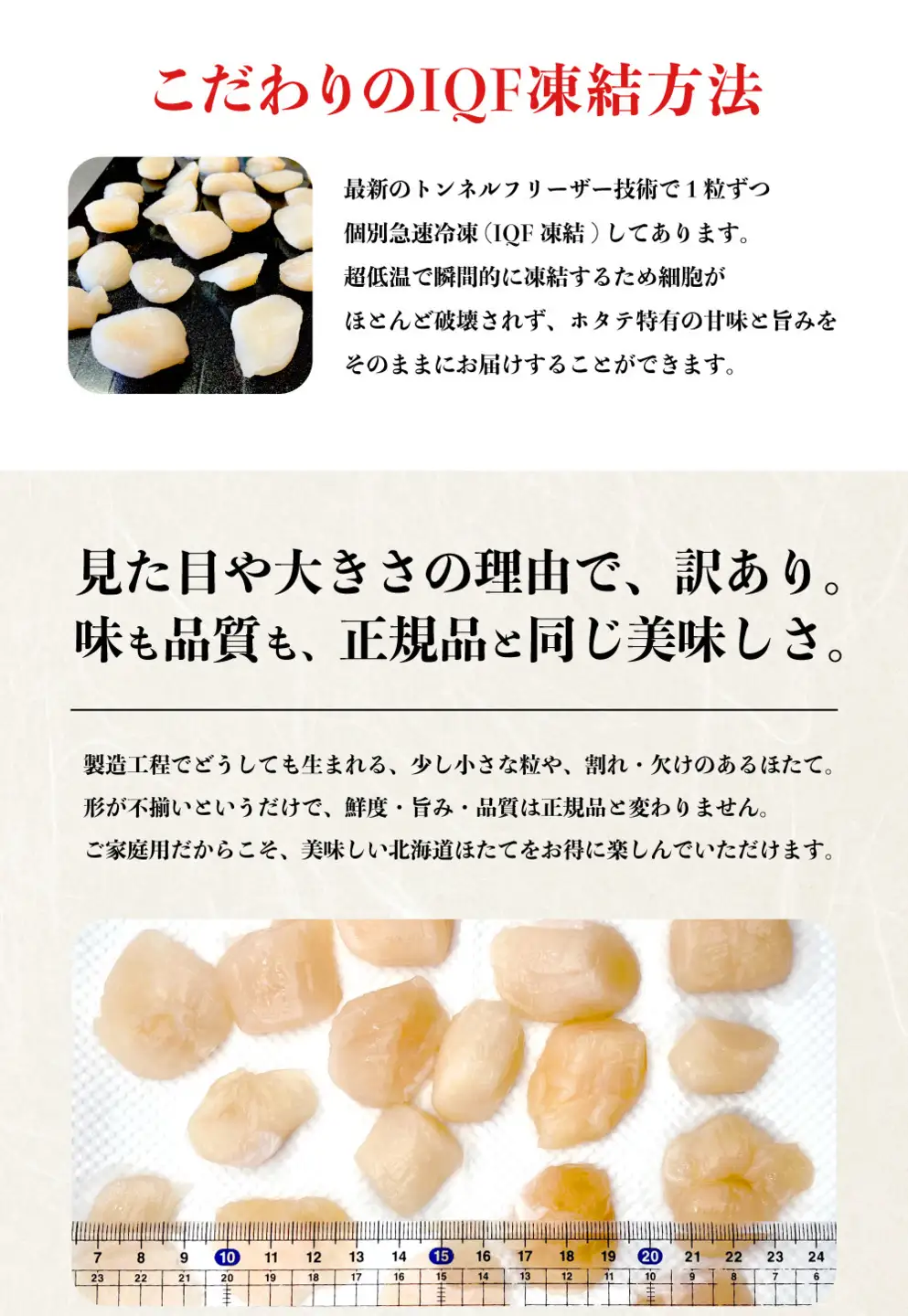 【訳あり　サイズ不揃い】北海道　遠別町産ホタテ貝柱　選べる　容量（約1kg）　帆立　刺身　冷凍　小分け　規格外