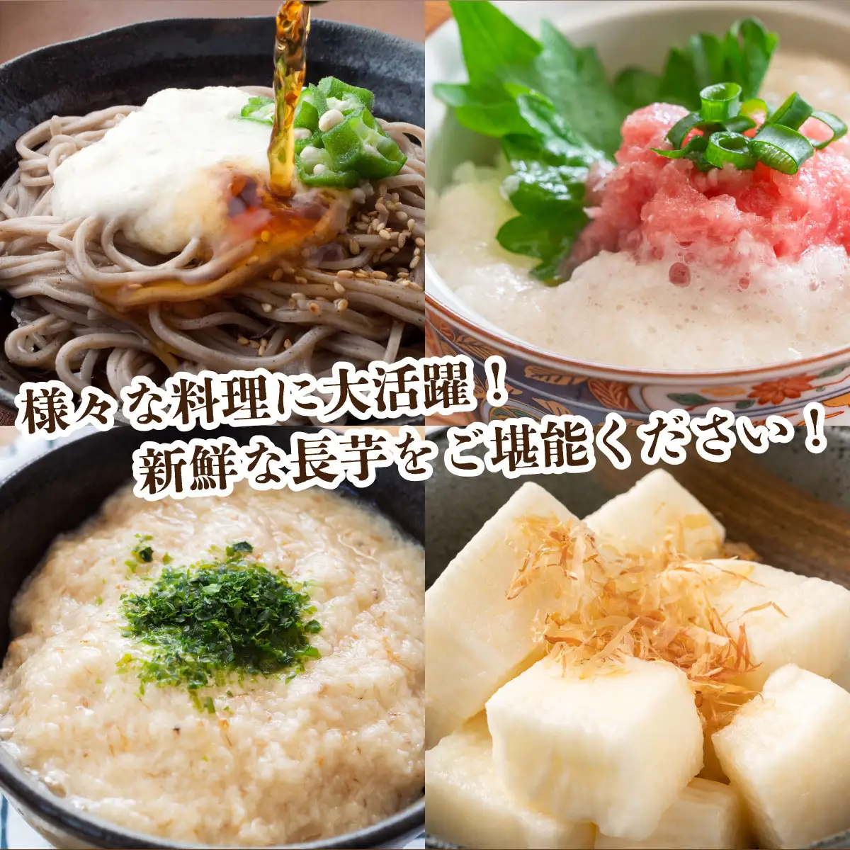 【2026年12月上旬より発送】遠別産　吉兆長芋（B品5kg）