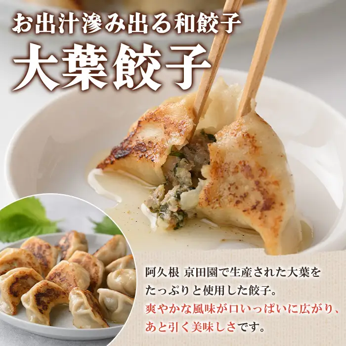 手づくり和餃子セット(ニラ餃子12個入×4袋+大葉餃子12個入×4袋・合計96個) 餃子 生餃子 ギョウザ ぎょうざ ギョーザ セット 詰め合わせ おかず お惣菜 冷凍 和風 水餃子 にら ニラ 大葉 手作り 食べ比べ 【餃子のはま田】akn096-04