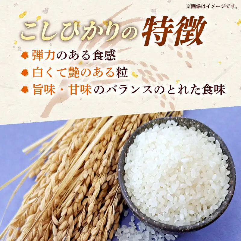 新米 先行受付 令和8年産 『こしひかり』『ひとめぼれ』 10kg (各5kg×1袋ずつ) 米 お米 白米 コメ こめ 食べ比べセット コシヒカリ ひとめぼれ 先行予約 2026年 人気 家計応援 単一米 茨城県 五霞町