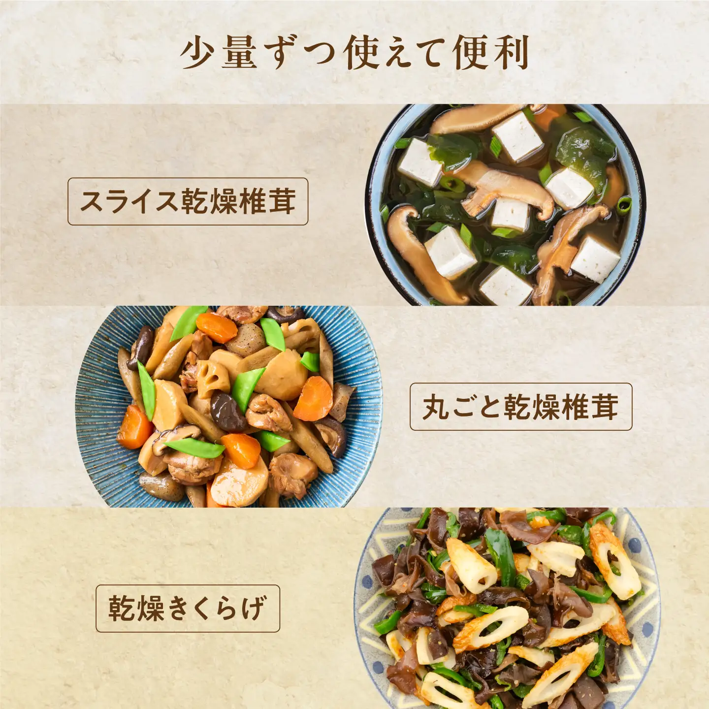 鯖江隠れ家きのこの乾燥きのこ３種セット　野菜 食事