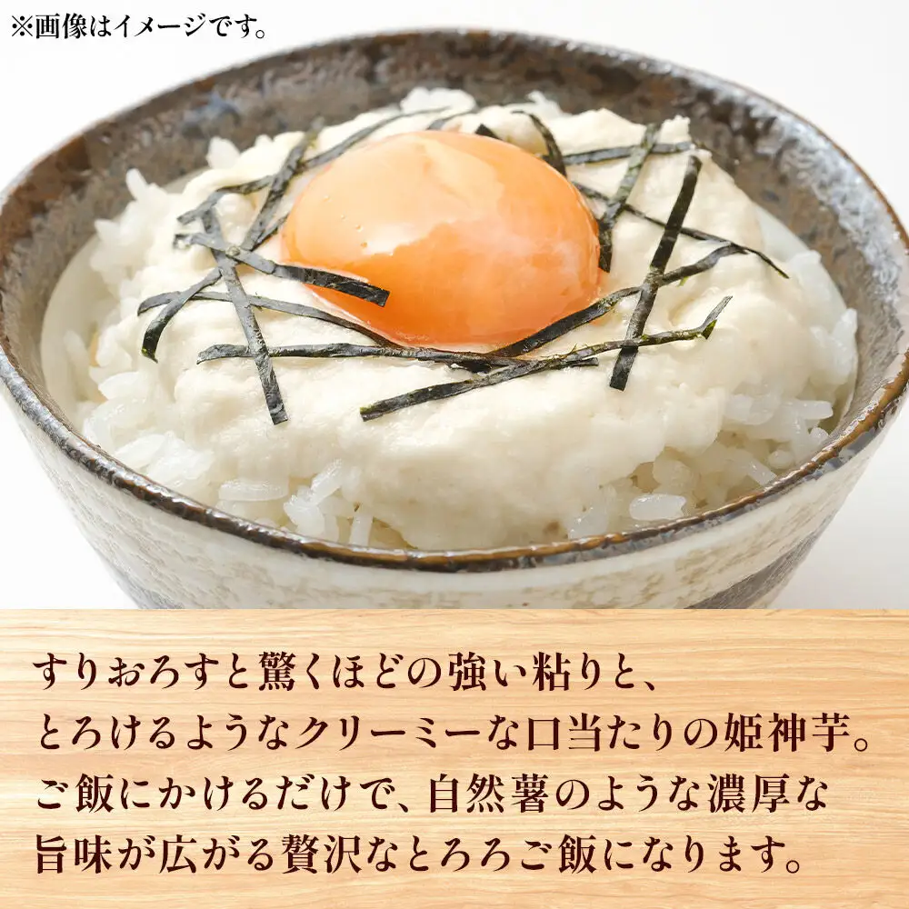 姫神芋 300g 秋田県山本郡三種町産 長芋