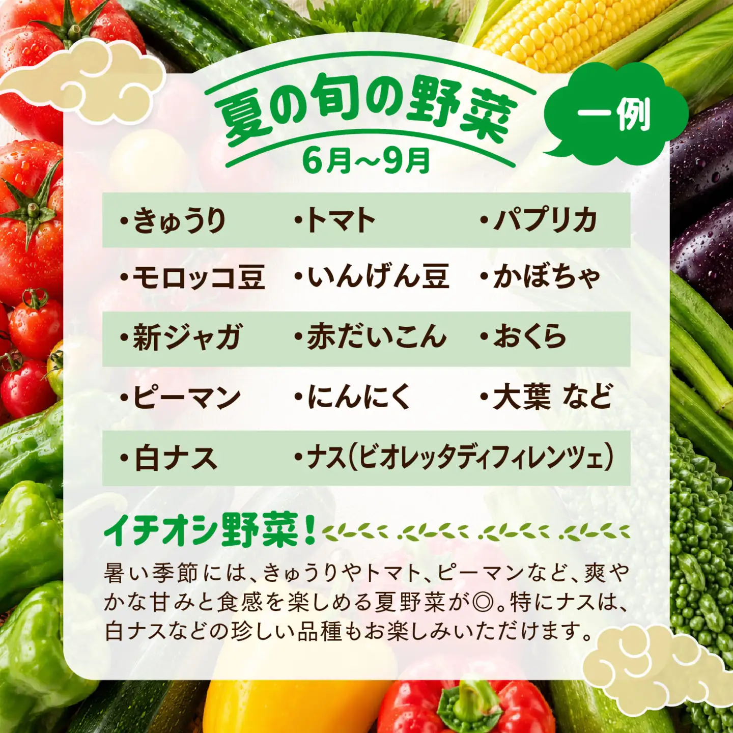 【定期便6回】久万高原 天空の旬野菜便2kg【面河特産品開発センター厳選】｜野菜詰め合わせ 5〜6品目 新鮮野菜 定期便 愛媛県産 産地直送