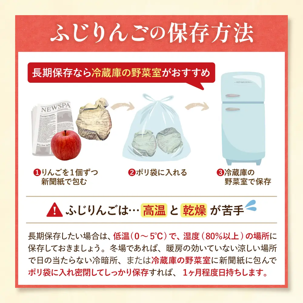 2026年産 樹上完熟ふじりんご 赤秀 5kg（16-20個）りんご