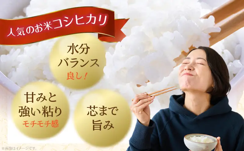 香川県三木町産コシヒカリ20キログラム | 米 お米 こめ 白米 ごはん 料理 簡単 国産 香川県産 コシヒカリ こしひかり |_mk078-082