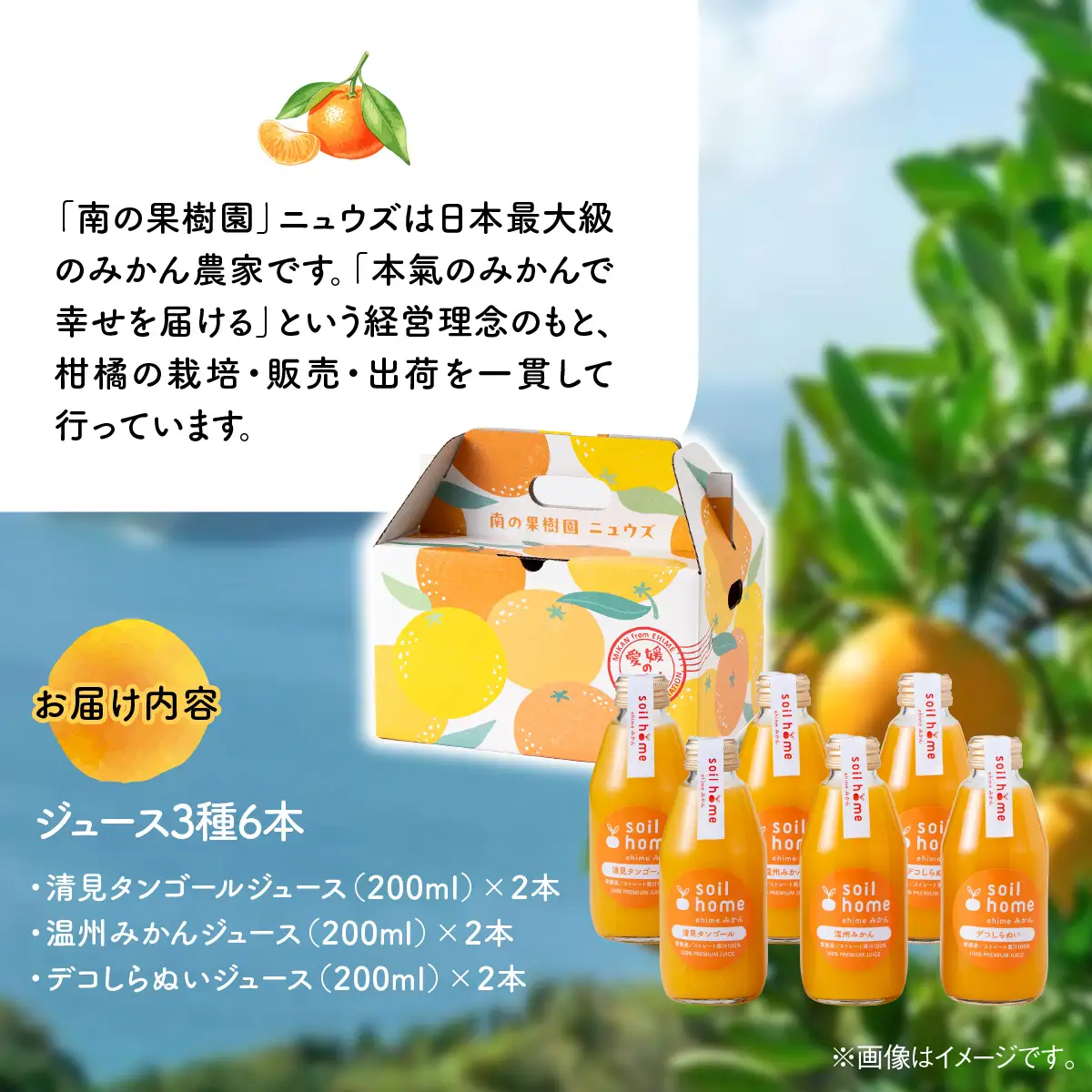 ジュース3種6本(200ml×6本)　 IKTF040