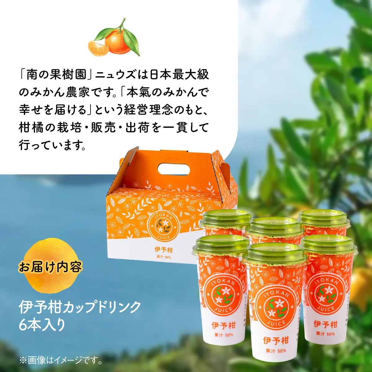 伊予柑カップドリンク6本入り IKTF041