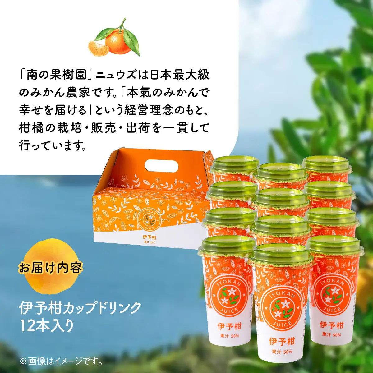 伊予柑カップドリンク12本入り IKTF042