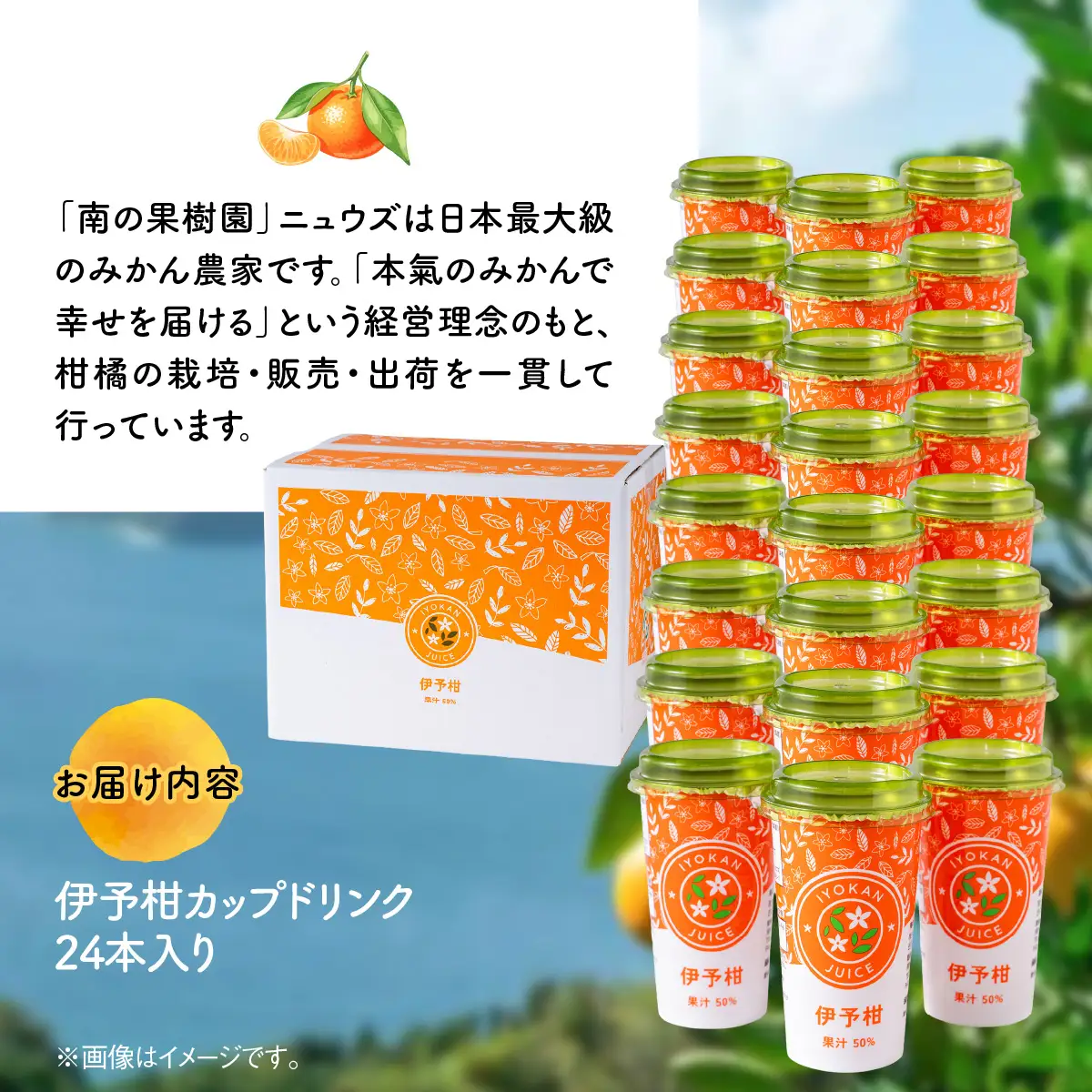 伊予柑カップドリンク24本入り IKTF043