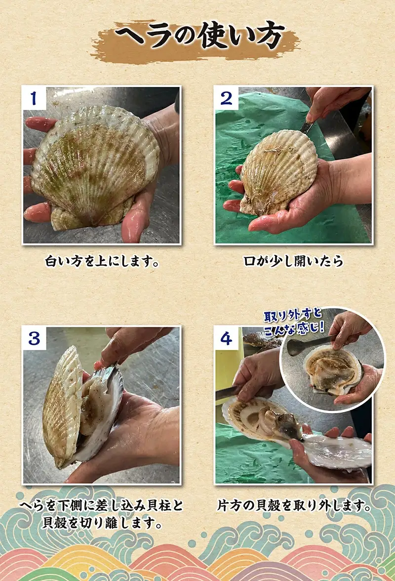 活ほたて 1kg入 1箱 【平内町漁業協同組合】 ホタテ ほたて 帆立 活ホタテ 人気 生ほたて 生ホタテ 刺身 貝 貝柱 殻付き 海鮮 新鮮 ほたて広場 魚介 青森県 平内町 東北 むつ湾 陸奥湾 漁協 BBQ バーベキュー キャンプ おすすめ F21J-384