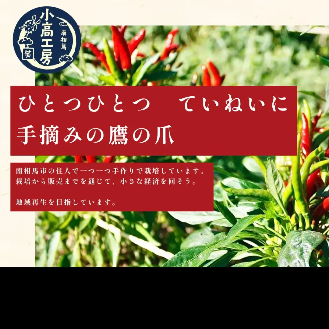小高ビーフカレー(激辛) 8パック | レトルトカレー 小高工房 非常食 備蓄 福島県 南相馬市