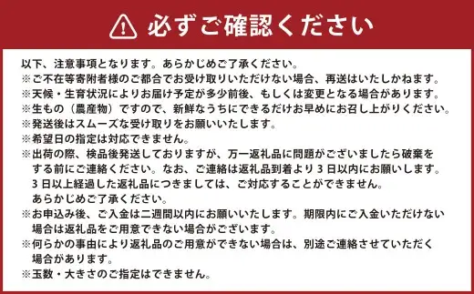 不知火 約5kg みかん ミカン 果実 果汁 果肉 柑橘類 柑橘系 国産 佐賀県産 【2027年2月上旬～4月上旬発送予定】