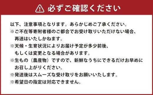 【いちごさん】佐賀県産いちご 約1kg いちご イチゴ 苺 ストロベリー 果物 フルーツ 新鮮 果汁 甘い あまい 佐賀県 太良町 【2027年2月上旬～3月下旬発送予定】 NB46