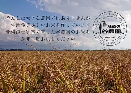 ＜全4回定期便＞北海道士別産 無洗米 ゆめぴりか (計20kg・5kg×4回) 米 お米 ゆめぴりか 定期便 白米 北海道産 北海道米 士別産 ごはん 産地直送 窒素置換包装 【産直の谷農園】【E7092-2】