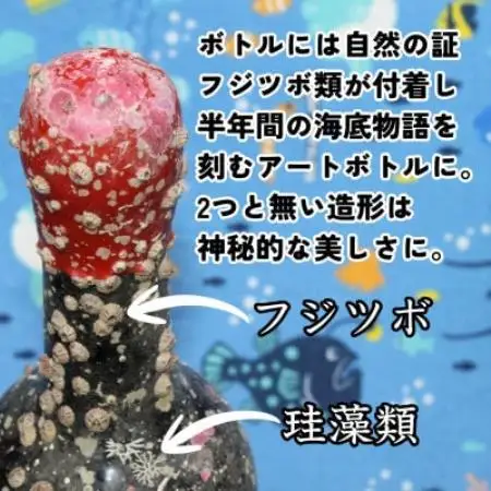 【ギフトセット】海底で熟成した日本酒 純米吟醸 2銘柄×各1本(300ml)【1754122】