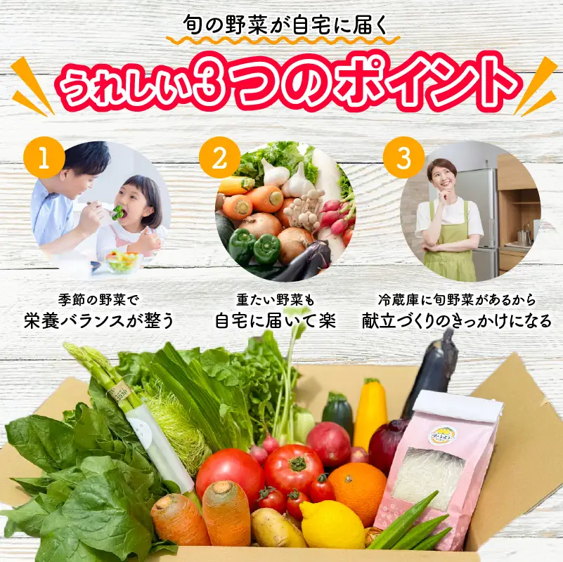 宮若産 旬の野菜詰め合わせ詰め合わせ 4〜6種セット [Ｍ1017] 季節 野菜 果物 詰め合わせ 九州 福岡 宮若市 ふるさと納税 おすすめ