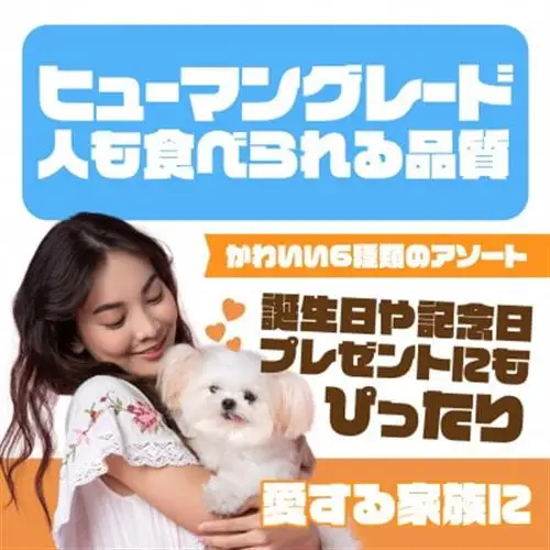 犬のおやつ 国産 DOGNUTS ドーナツセット 6種 詰め合わせ【配送不可地域：離島】【1748435】