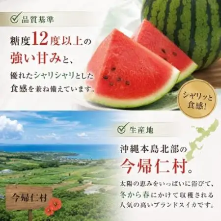 【2027年1月中旬より順次発送】冬に食べる幻のスイカ ぬちぐすいーと 1玉(4.5kg以上)【1744600】