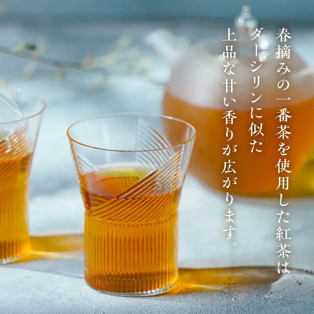 飛騨紅茶 ファーストフラッシュ ティーバッグ8個 紅茶 べにふうき 一番茶 ダージリン系 奥飛騨 国産茶葉 なべしま銘茶 BU014