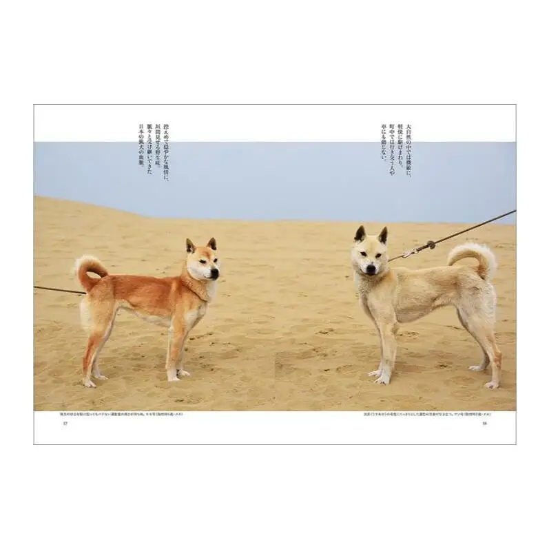 書籍『日本の犬』 武井哲史 山喜多佐知子 誠文堂新光社 東京都 文京区