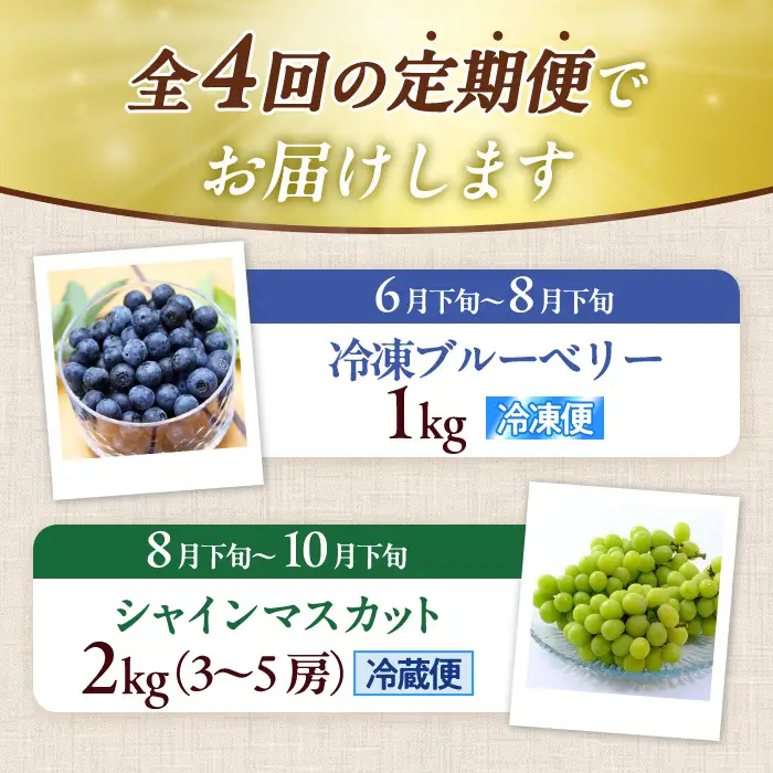 ＜定期便・全4回＞大分県産旬のフルーツ定期便 (4種・総量9kg) ブルーベリー シャインマスカット 温州みかん いちご フルーツ 果物 柑橘 ブドウ デザート 大分県産＜北海道・沖縄・離島配送不可＞ 【DT23】【全国農業協同組合連合会大分県本部】