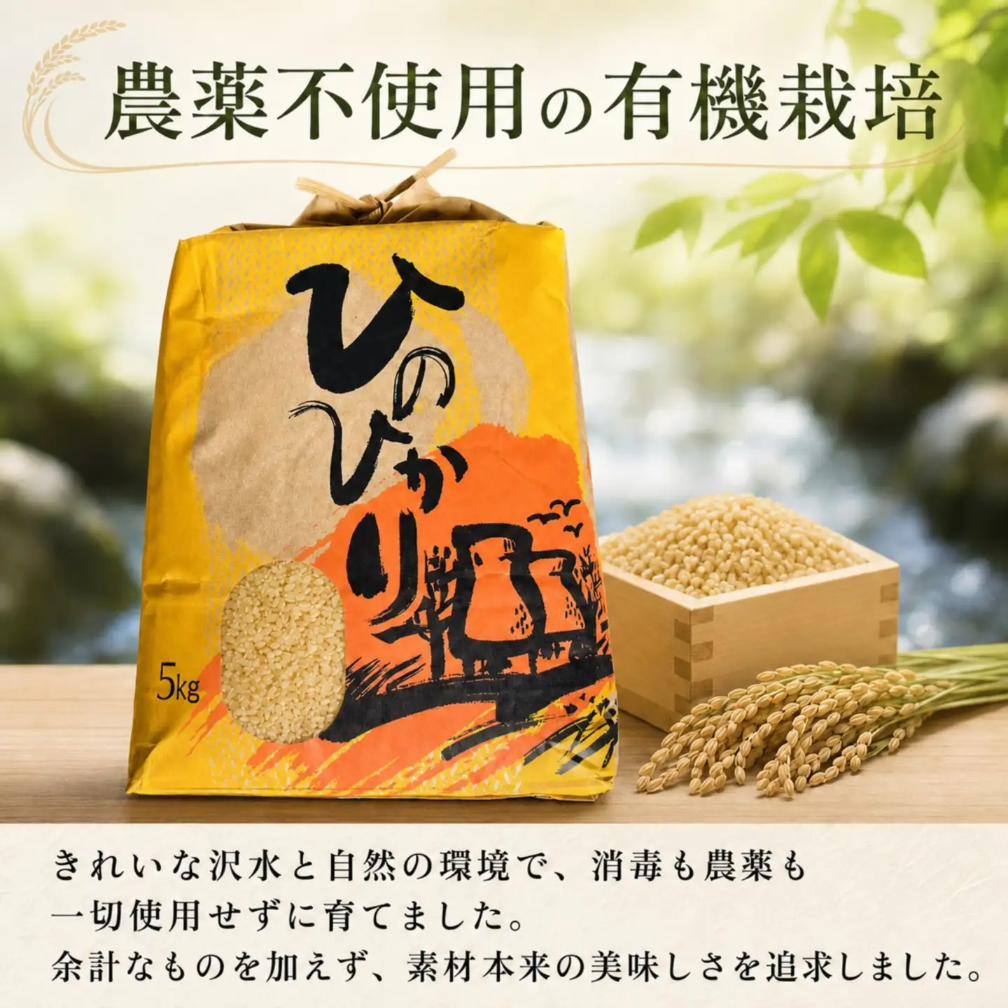 ひのひかり 玄米 10kg 2025年産［1120-5］