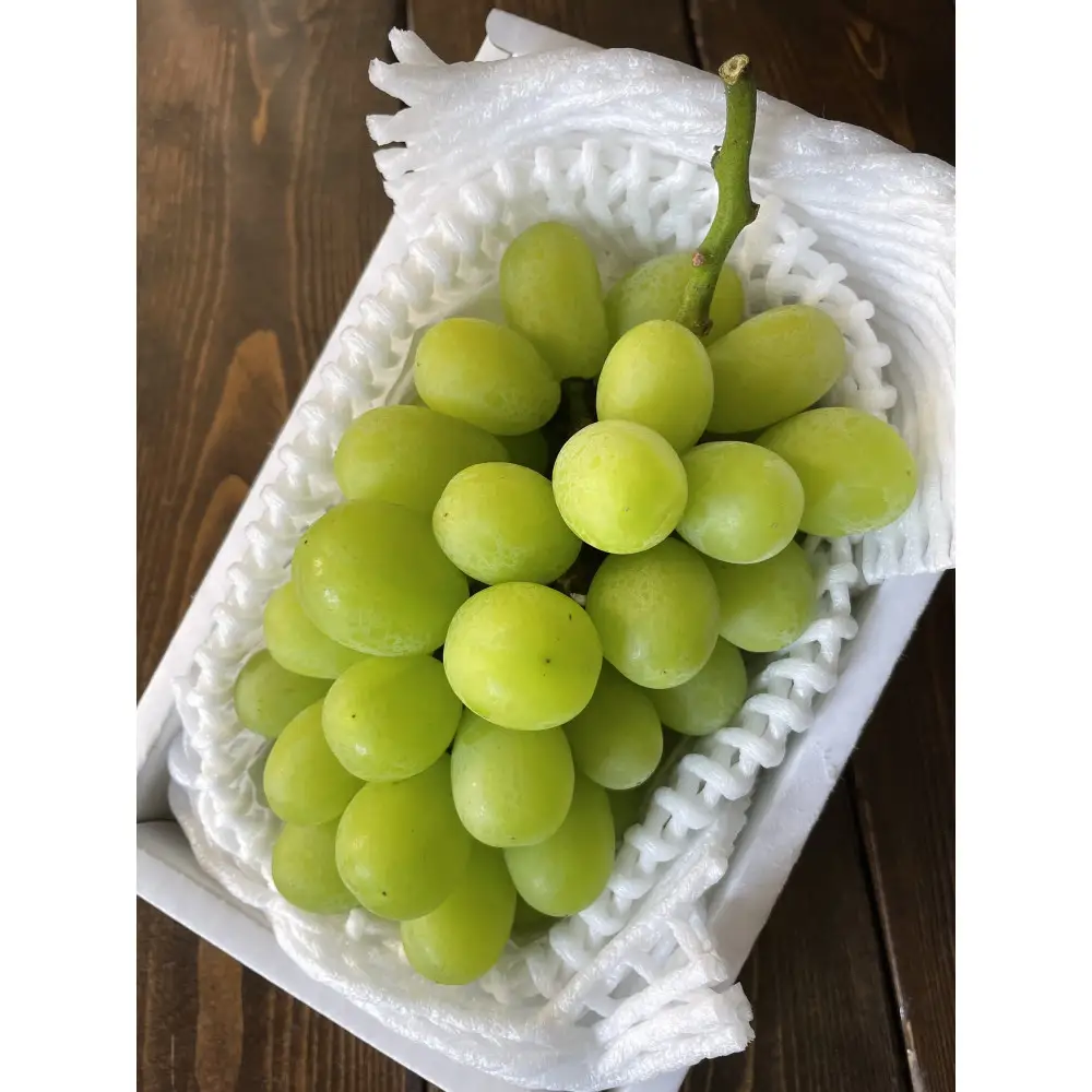 北栄町産シャインマスカット 一房入り(600g〜700g)【9月上旬以降お届け】