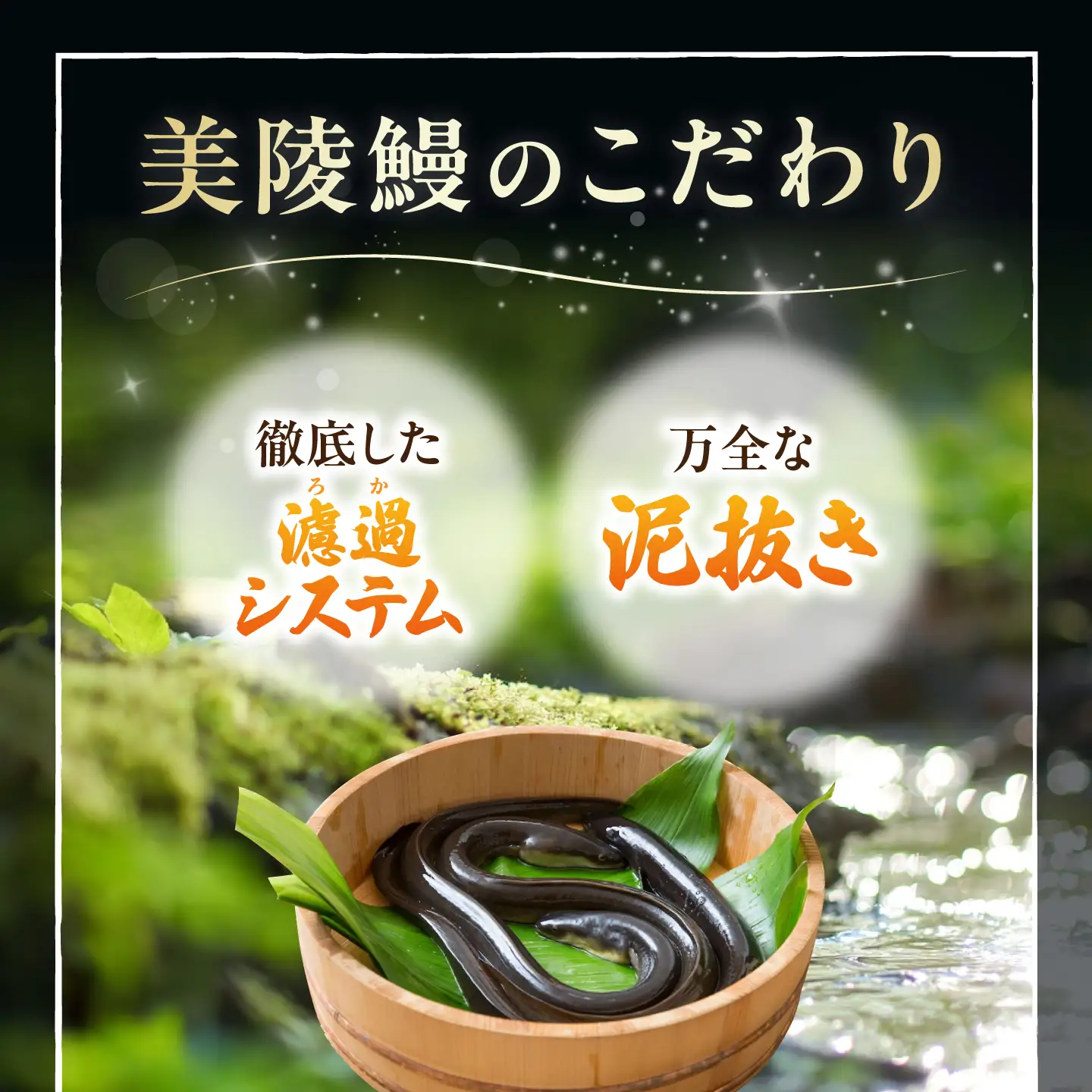 【全3回定期便】鰻 鰻の蒲焼5尾×白焼5尾 紅白セット / 美陵鰻 鰻 うなぎ ウナギ 蒲焼 蒲焼き かば焼き かばやき 白焼き 白焼 しろやき しらやき 特大 肉厚 うな重 うな丼 ひつまぶし 惣菜 おかず タレ 山椒 国産 土用 丑の日 ギフト/ 大阪府藤井寺市/Giverichホールディングス株式会社[BLAM040]