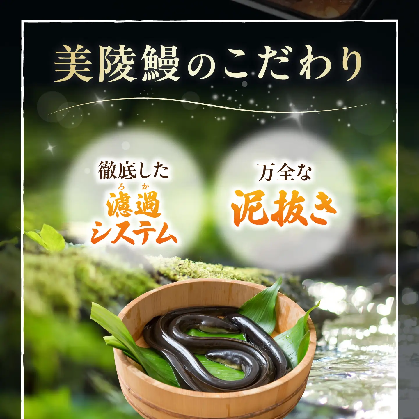 【全12回定期便】鰻 鰻の蒲焼 2尾/ 美陵鰻 鰻 うなぎ ウナギ 蒲焼 蒲焼き かば焼き かばやき 白焼き 白焼 しろやき しらやき 特大 肉厚 うな重 うな丼 ひつまぶし 惣菜 おかず タレ 山椒 国産 土用 丑の日 ギフト / 大阪府藤井寺市/Giverichホールディングス株式会社[BLAM044]