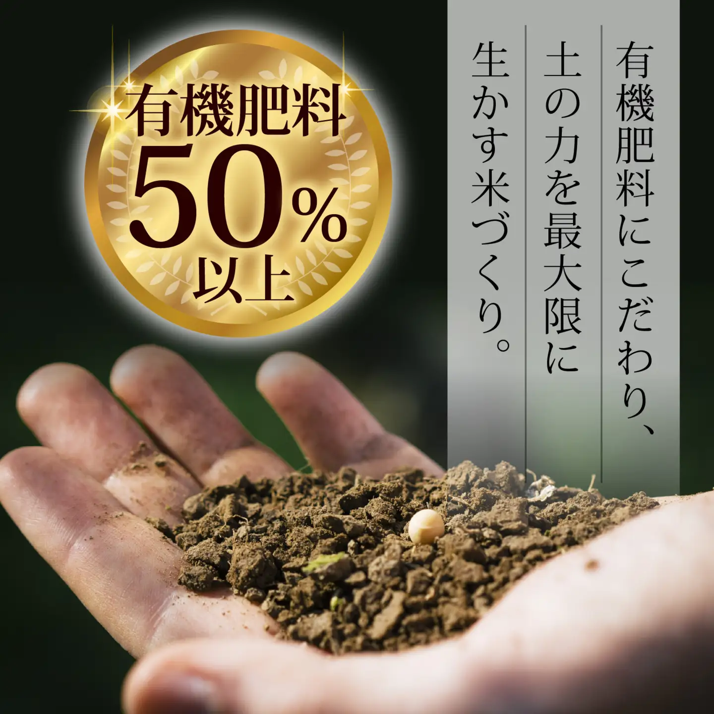 【令和7年産】にじのきらめき  白米 20kg  | お米 お米
