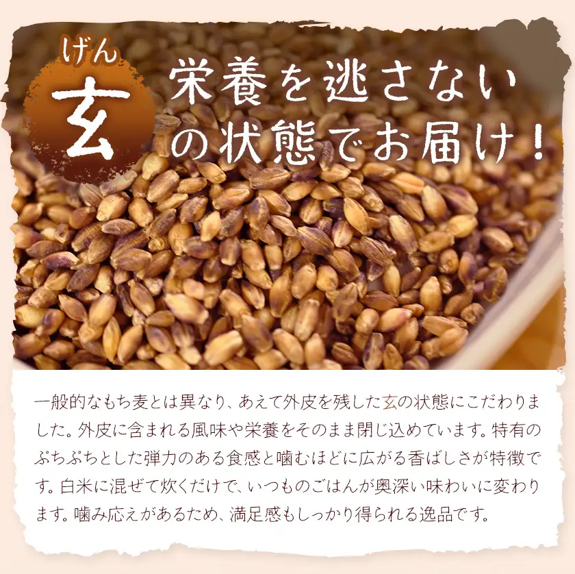 もち麦 玄もち麦 1kg 自然野菜のら