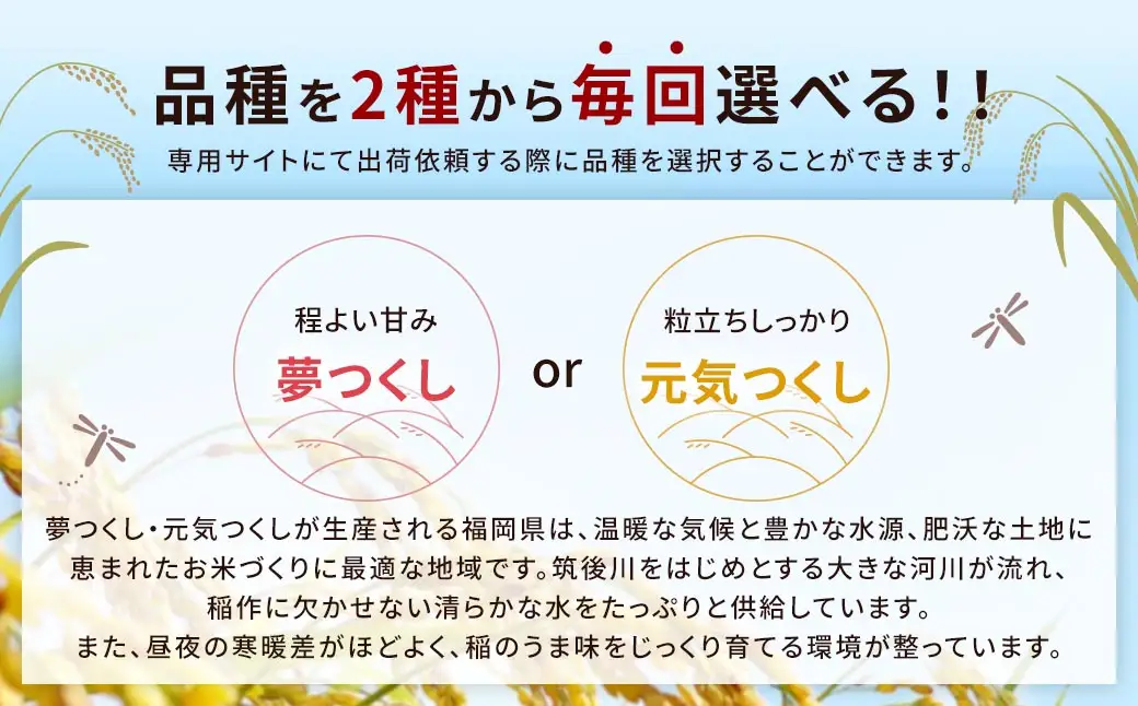 らくらくお米便 半俵コース （ 60kg ） 利用権 選べる夢つくし ・ 元気つくし お米 米 こめ コメ 白米 白飯 飯 ご飯 おにぎり ブランド米 ブランド 福岡県産 国産 定期 定期配送 定期便 精米 玄米
