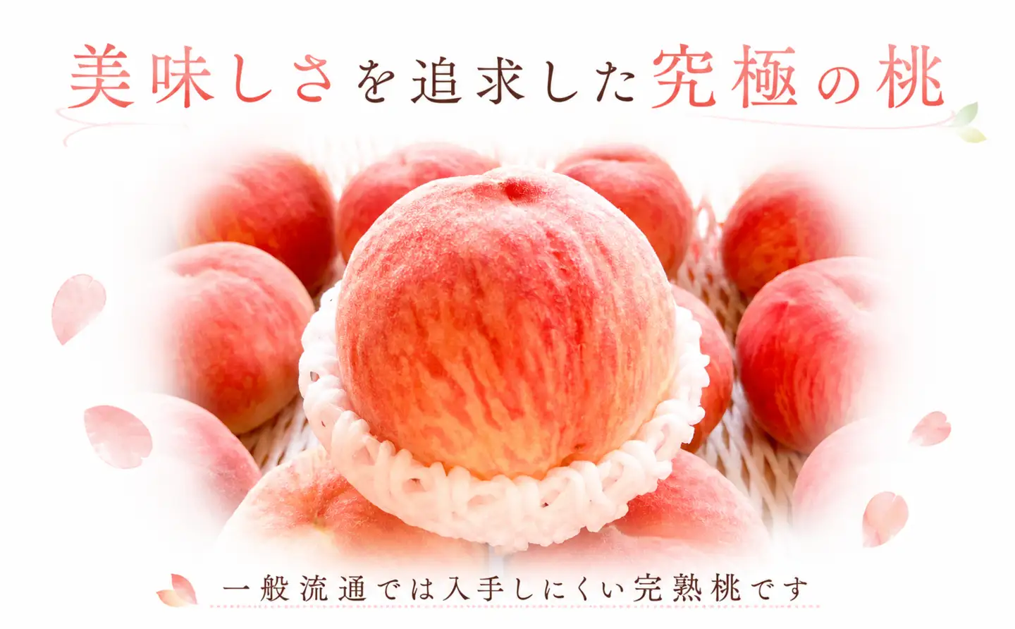 桃 約4㎏ 贈答用 完熟桃 桃 もも 香川県 丸亀市