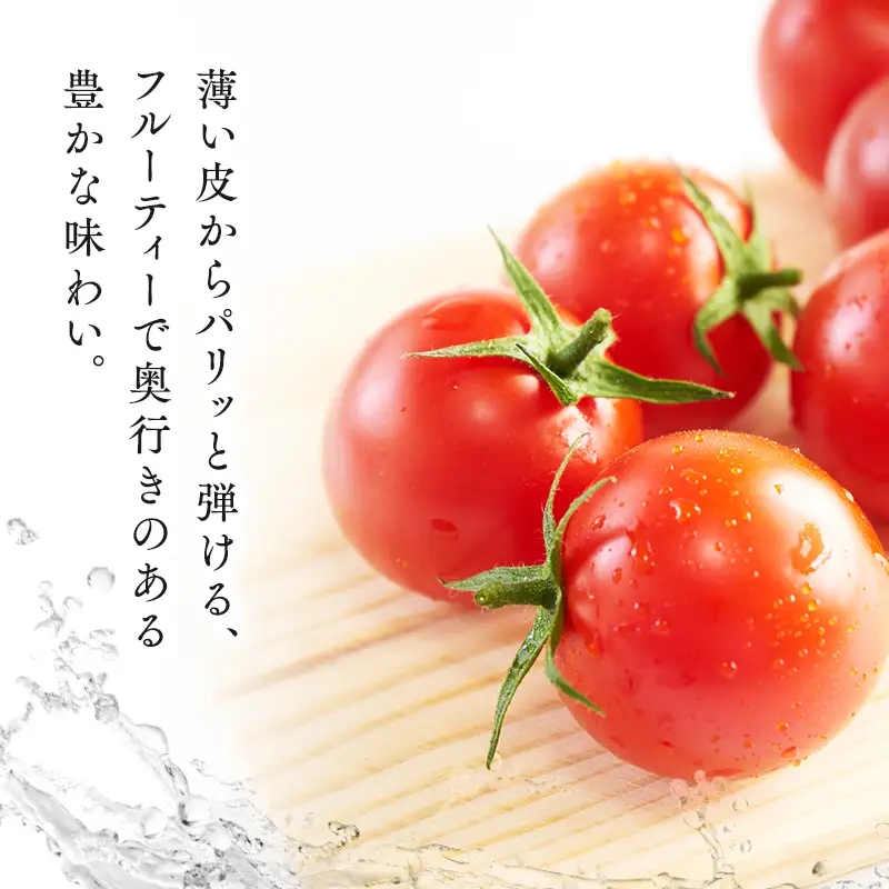 ミニトマト 3kg  サマーチカ [hi-0070-002]