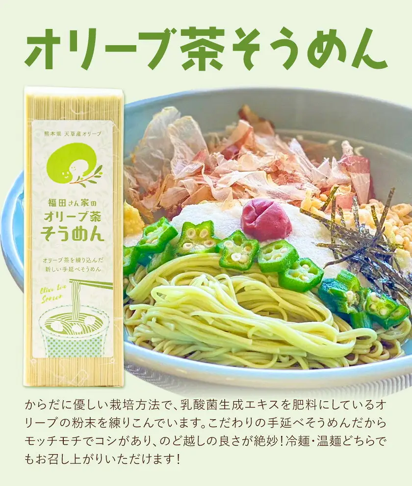 オリーブ 茶 そうめん 20袋 セット 福田さん家のオリーブ園。