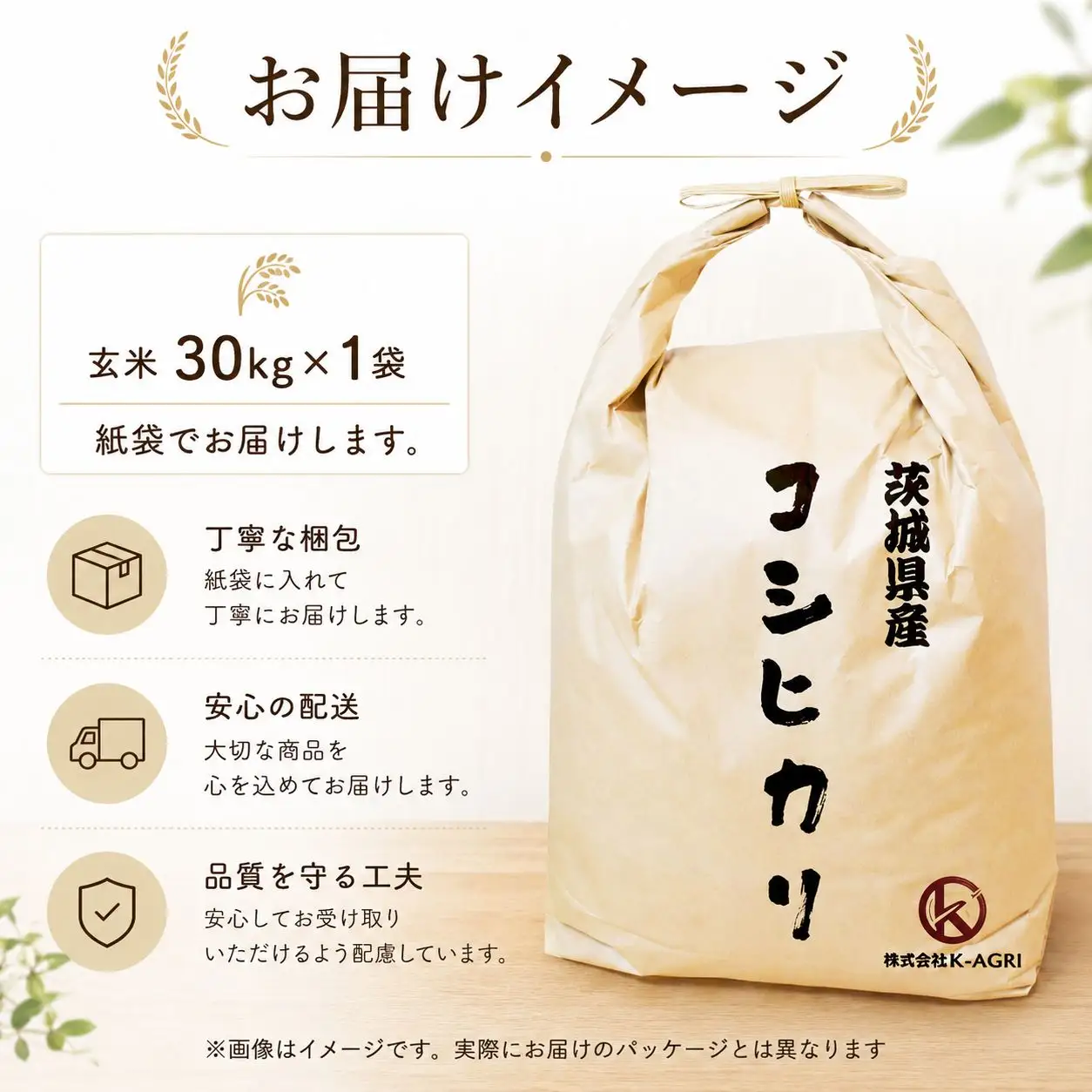 《先行予約》 玄米 令和8年産 コシヒカリ 30kg 玄米